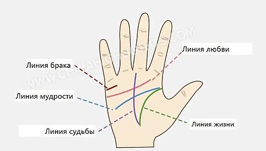 Карта Судьбы на Ладони: Код, Который Можно Переписать?