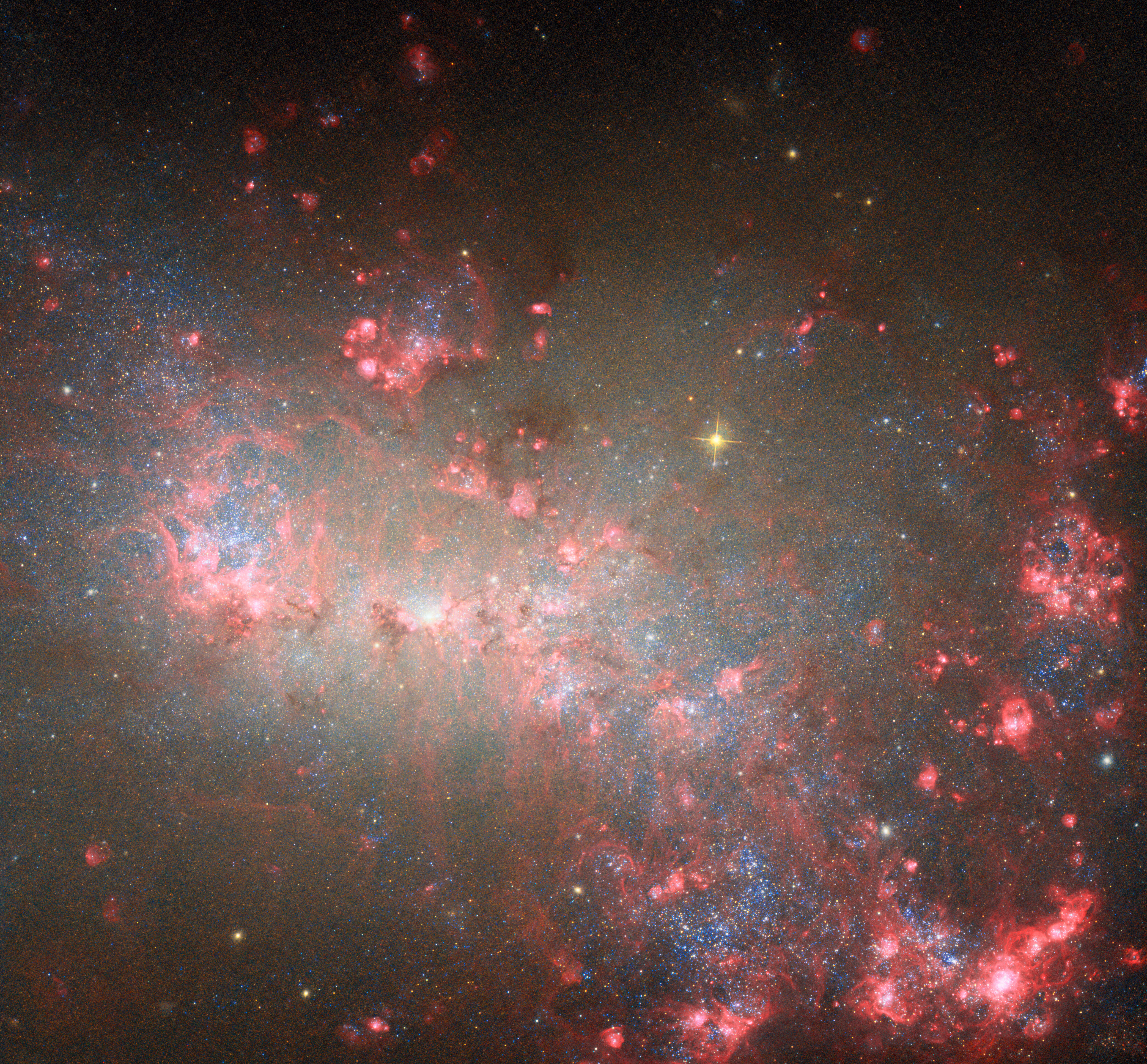 Загадочная галактика NGC 4449: мощный звездный инкубатор Загадочная галактика NGC 4449: мощный звездный инкубатор